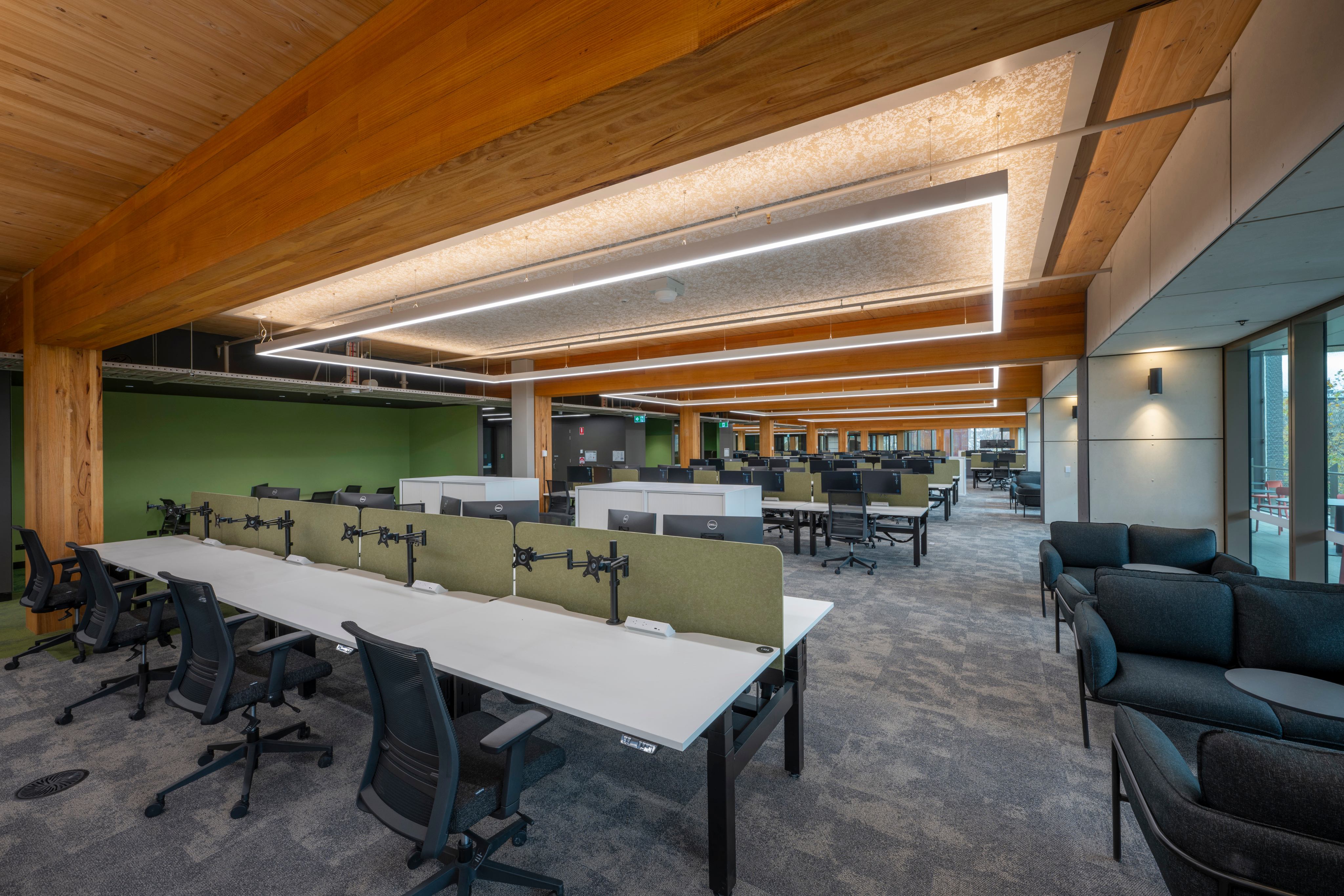 Mass timber open-plan office interior at Galkangu – Bendigo GovHub