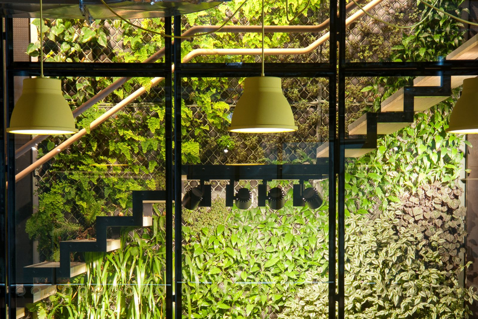 A living green wall inside an Icon-built stairwell